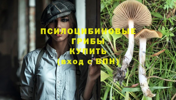 кокс Семёнов