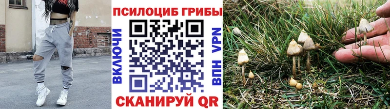 Псилоцибиновые грибы ЛСД  Горняк 